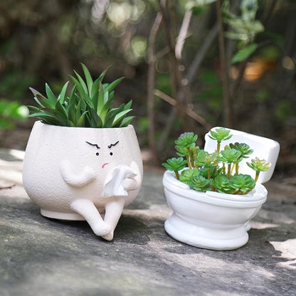 Toilet Planter